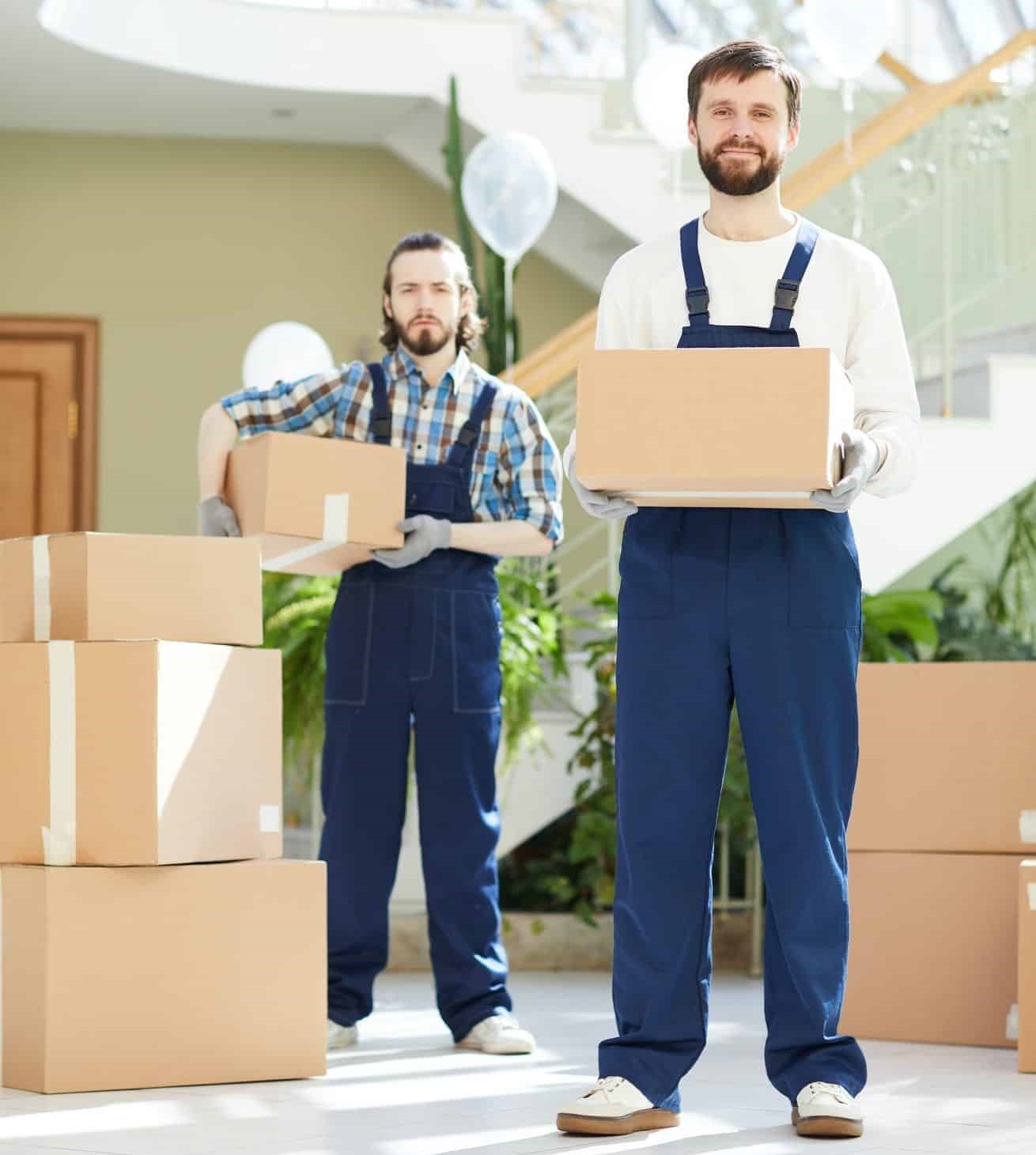 professionalWorkers